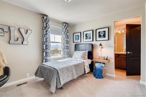 16565 Trinity Loop, Broomfield, CO 80023 photo 30