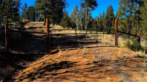 927 Forest Dr, Bailey, CO 80421 photo 11