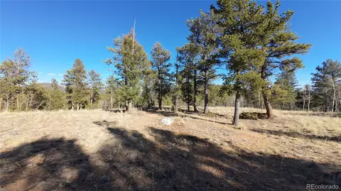 927 Forest Dr, Bailey, CO 80421 photo 10