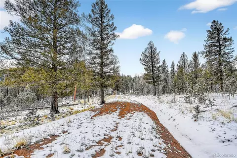 927 Forest Dr, Bailey, CO 80421 photo 14