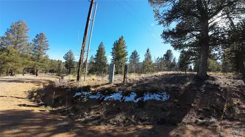 927 Forest Dr, Bailey, CO 80421 photo 7