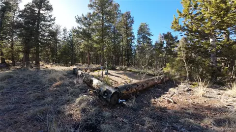 927 Forest Dr, Bailey, CO 80421 photo 9