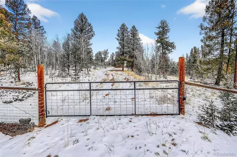 927 Forest Dr, Bailey, CO 80421 photo 17