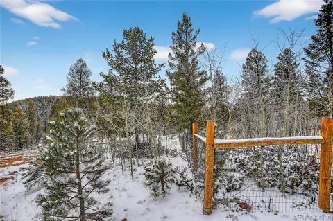 927 Forest Dr, Bailey, CO 80421 photo 16