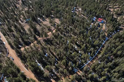 927 Forest Dr, Bailey, CO 80421 photo 3