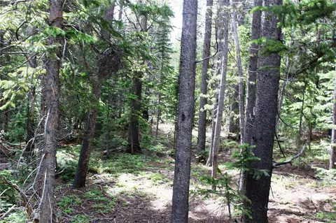 lot209 Upper Forest Rd, Idaho Springs, CO 80452