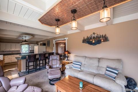 464 Tschaikovsky Rd, Black Hawk, CO 80422 photo 5