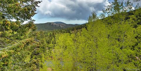 32271 Steven Way, Conifer, CO 80433 photo 28