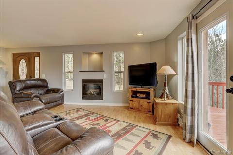 232 Elk Pl, Black Hawk, CO 80422 photo 8