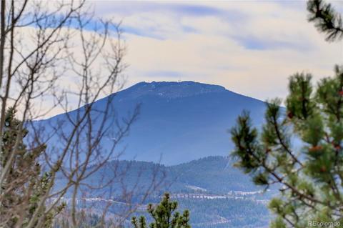 232 Elk Pl, Black Hawk, CO 80422 photo 31