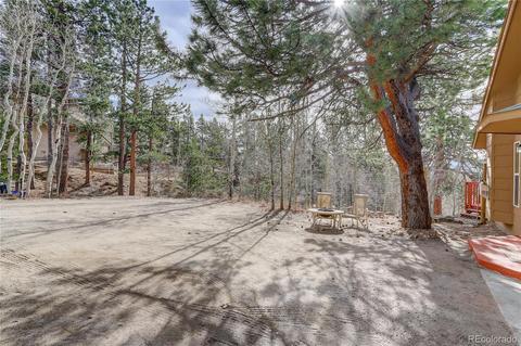 232 Elk Pl, Black Hawk, CO 80422 photo 4
