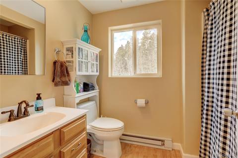 232 Elk Pl, Black Hawk, CO 80422 photo 20