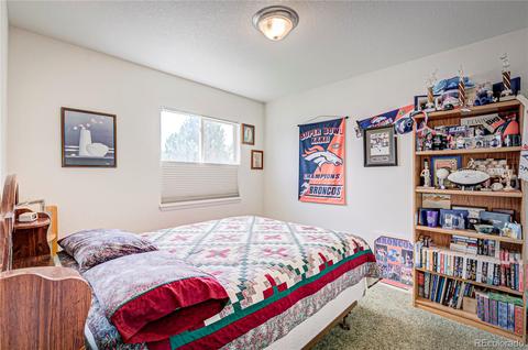 19666 E 50th Ave, Denver, CO 80249 photo 19