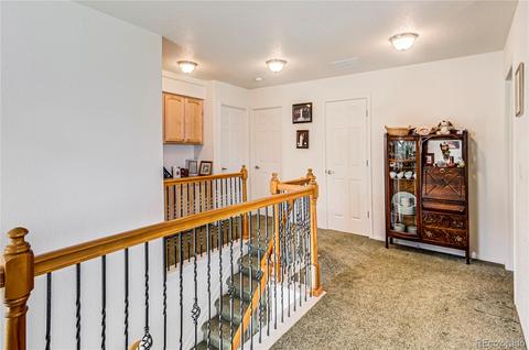 19666 E 50th Ave, Denver, CO 80249 photo 14