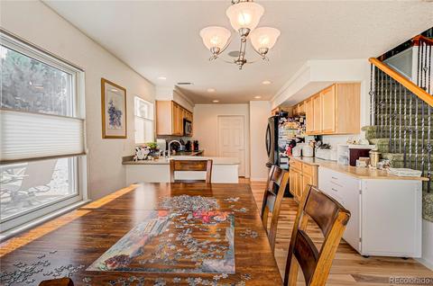 19666 E 50th Ave, Denver, CO 80249 photo 10