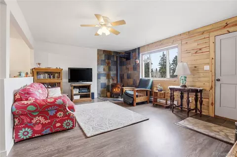 Living - 9225 Sandy Ln, Conifer, CO 80433 photo 5 of 5