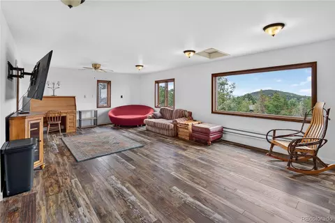 Living - 9225 Sandy Ln, Conifer, CO 80433 photo 3 of 4