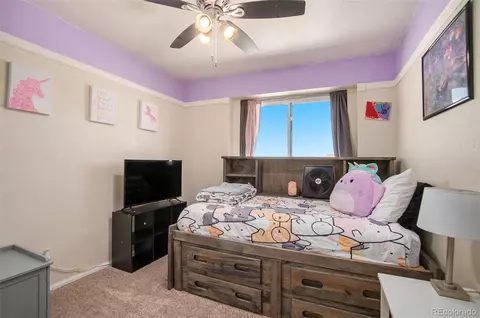 2215 E 103rd Pl, Thornton, CO 80229 photo 21