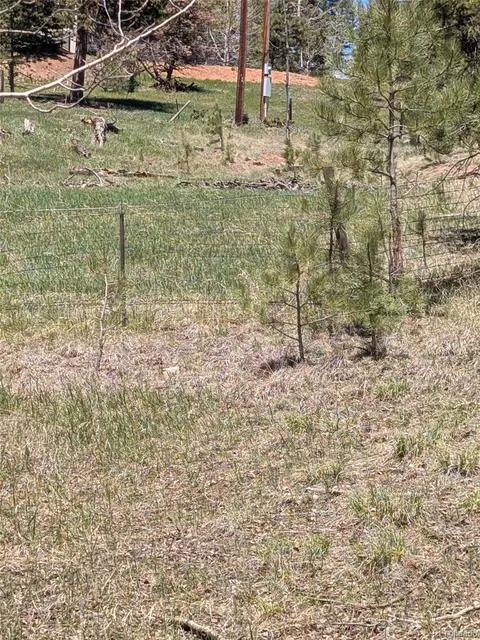 Ute Trail, Woodland Park, CO 80863