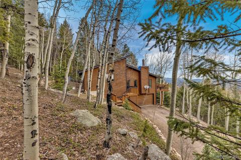 10726 Timothys Dr, Conifer, CO 80433 photo 31