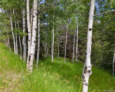 28380 Pine Trl, Conifer, CO 80433