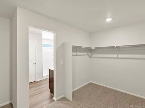 1129 Thunder Pass Rd, Severance, CO 80550 photo 24