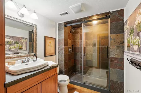 8256 E 28th Dr, Denver, CO 80238 photo 42