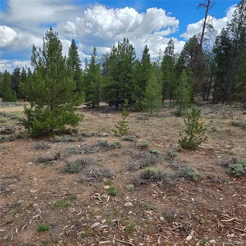 28 Juniper Dr, Twin Lakes, CO 81251