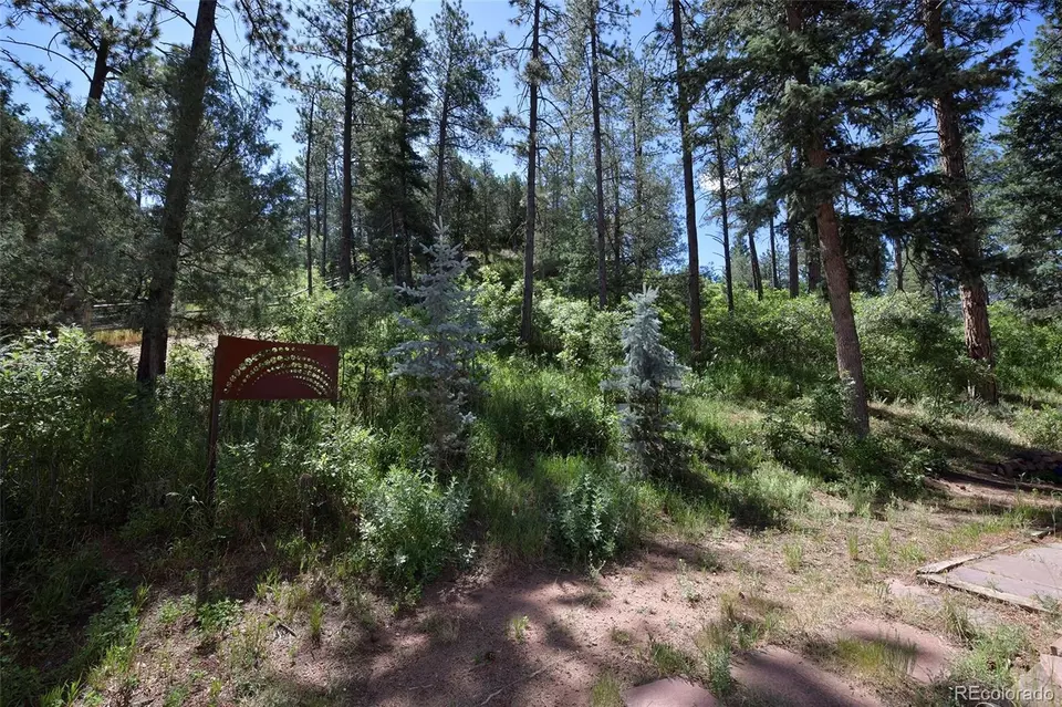 Other - 5030 Chippewa Dr, Larkspur, CO 80118 photo 9 of 11