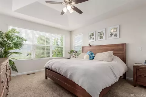 2883 Trinity Loop, Broomfield, CO 80023 photo 23