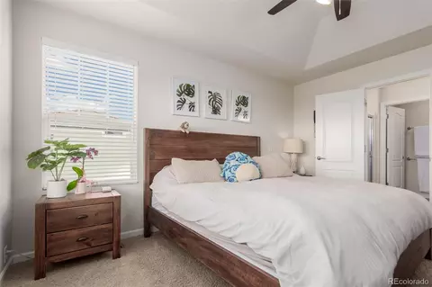 2883 Trinity Loop, Broomfield, CO 80023 photo 24