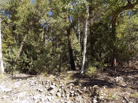 Zapata Court, Mosca, CO 81146
