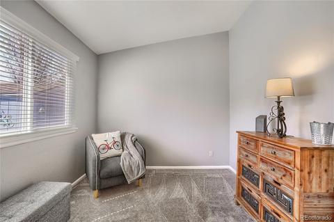 5226 E 119th Pl, Thornton, CO 80233 photo 25
