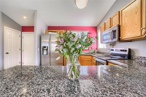 5226 E 119th Pl, Thornton, CO 80233 photo 9