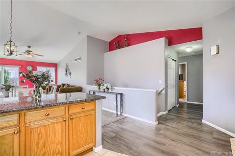 5226 E 119th Pl, Thornton, CO 80233 photo 11