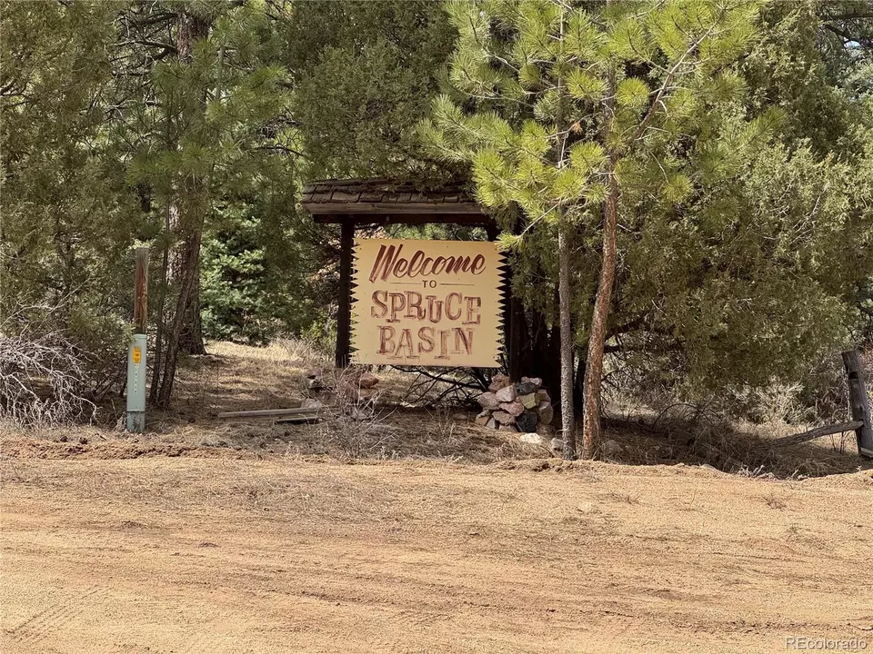  Trail Drive, Cotopaxi, CO 81223 photo 10