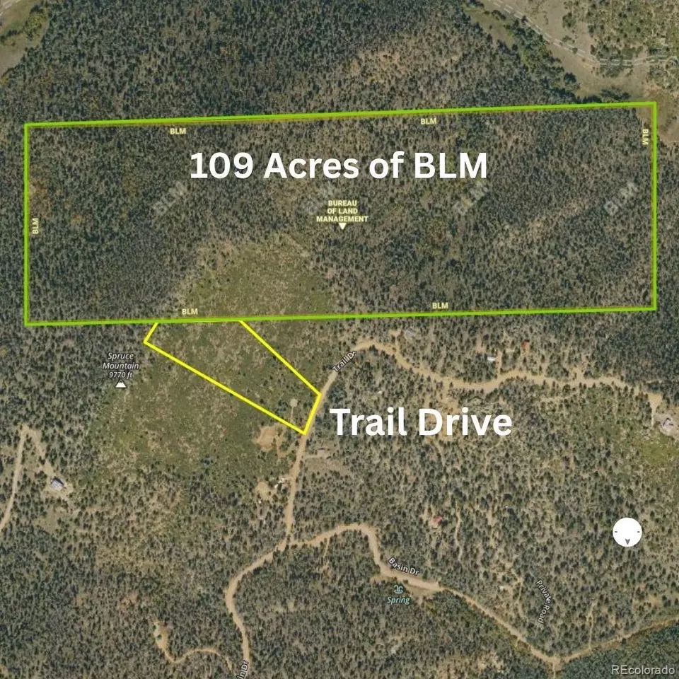  Trail Drive, Cotopaxi, CO 81223 photo 8