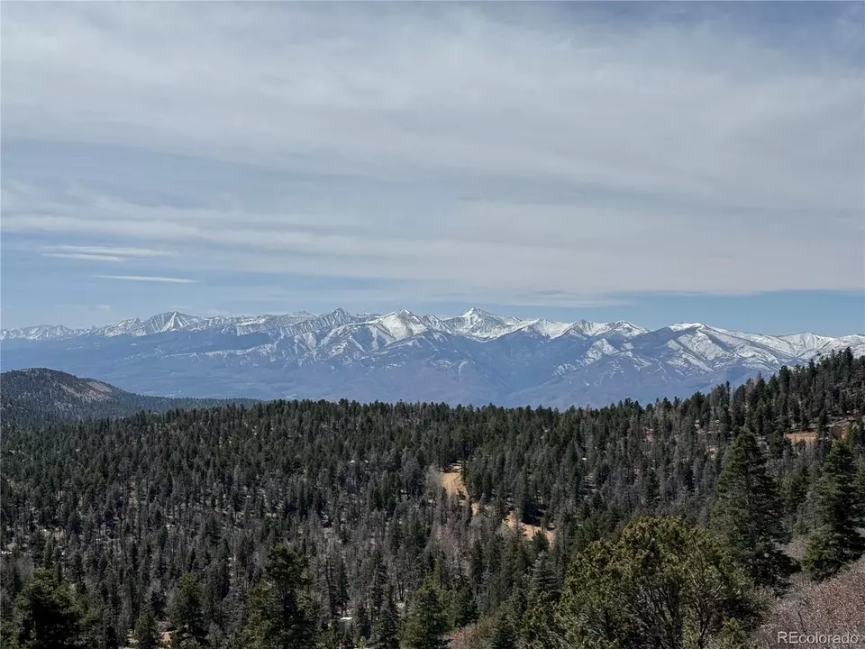  Trail Drive, Cotopaxi, CO 81223 photo 5