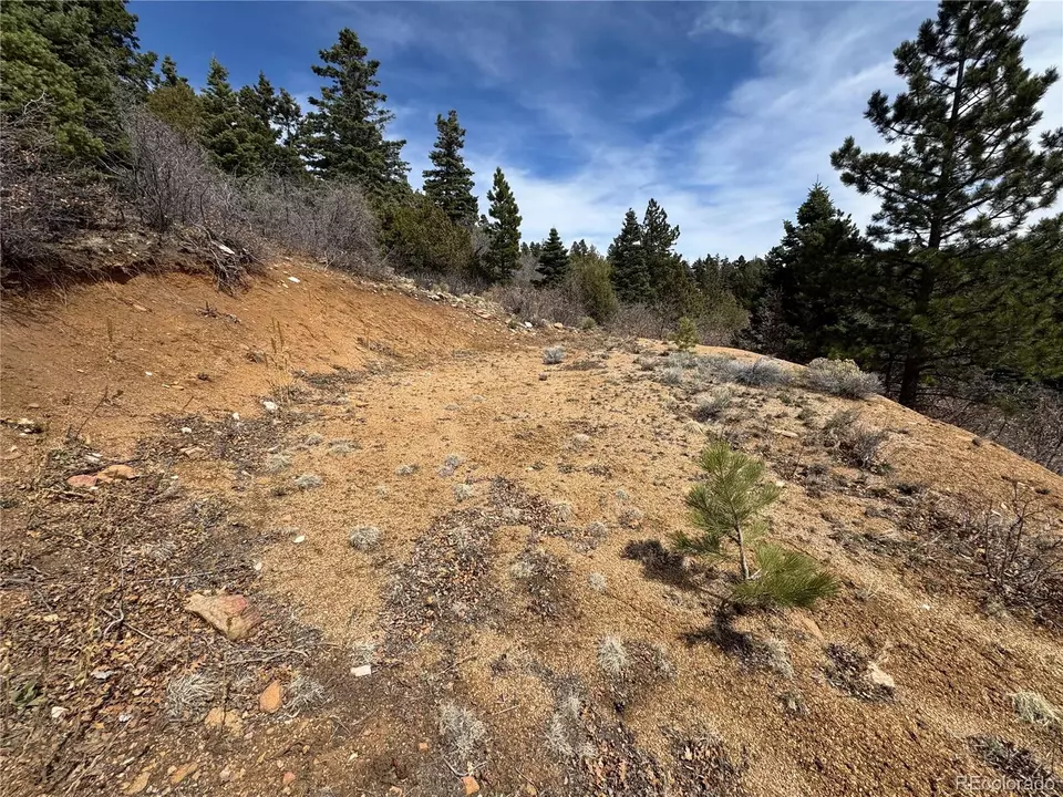  Trail Drive, Cotopaxi, CO 81223 photo 2