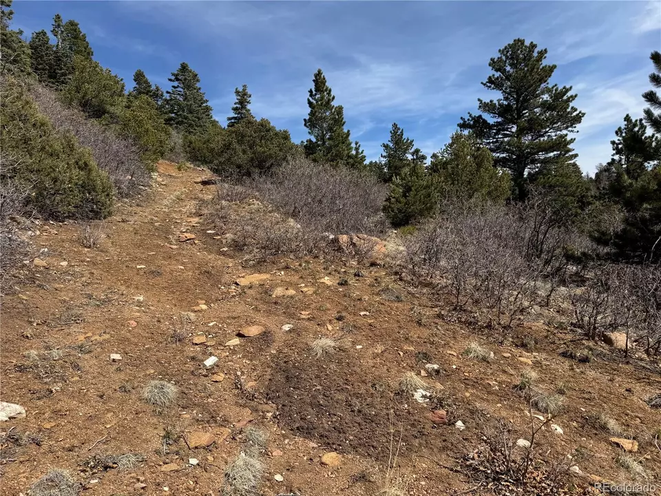  Trail Drive, Cotopaxi, CO 81223 photo 3