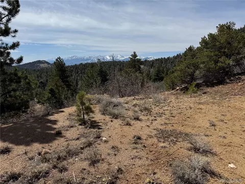 Trail Drive, Cotopaxi, CO 81223