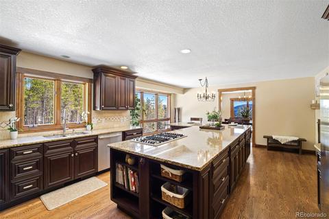 8331 S Warhawk Rd, Conifer, CO 80433 photo 9