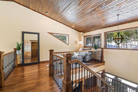 8331 S Warhawk Rd, Conifer, CO 80433 photo 22