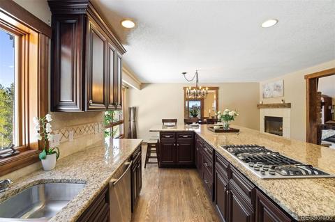 8331 S Warhawk Rd, Conifer, CO 80433 photo 10