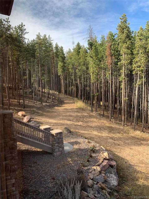 8331 S Warhawk Rd, Conifer, CO 80433 photo 37