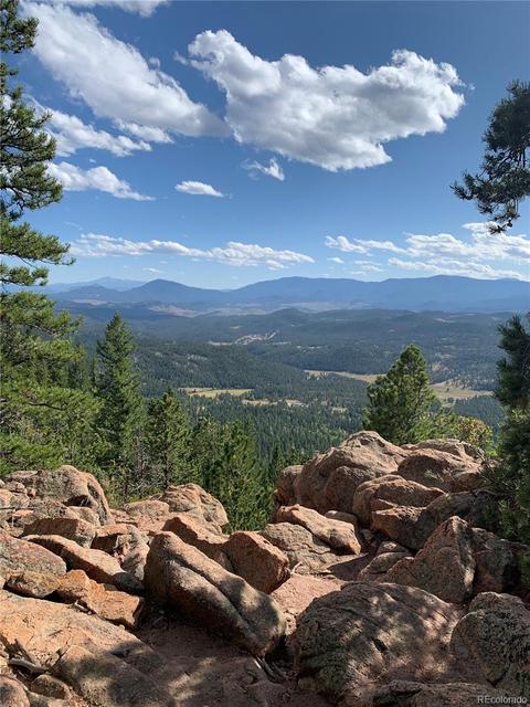 8331 S Warhawk Rd, Conifer, CO 80433 photo 39