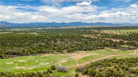 1069 Eagle Peak Cir, Cotopaxi, CO 81223 photo 2