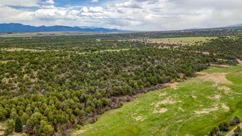 1069 Eagle Peak Cir, Cotopaxi, CO 81223 photo 7