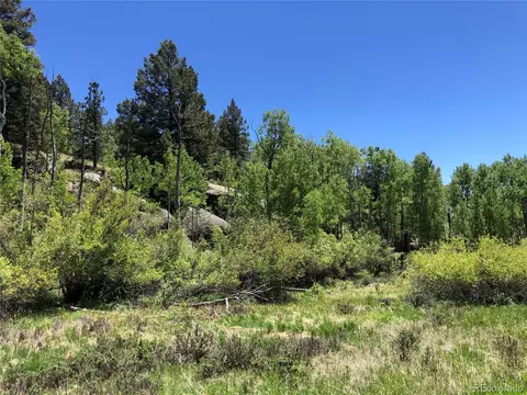 741 Pinon Ln, Florissant, CO 80816