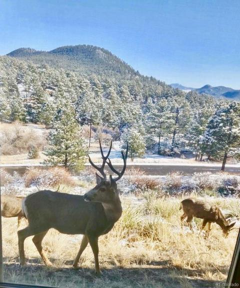 15459 Ouray Rd, Pine, CO 80470 photo 31